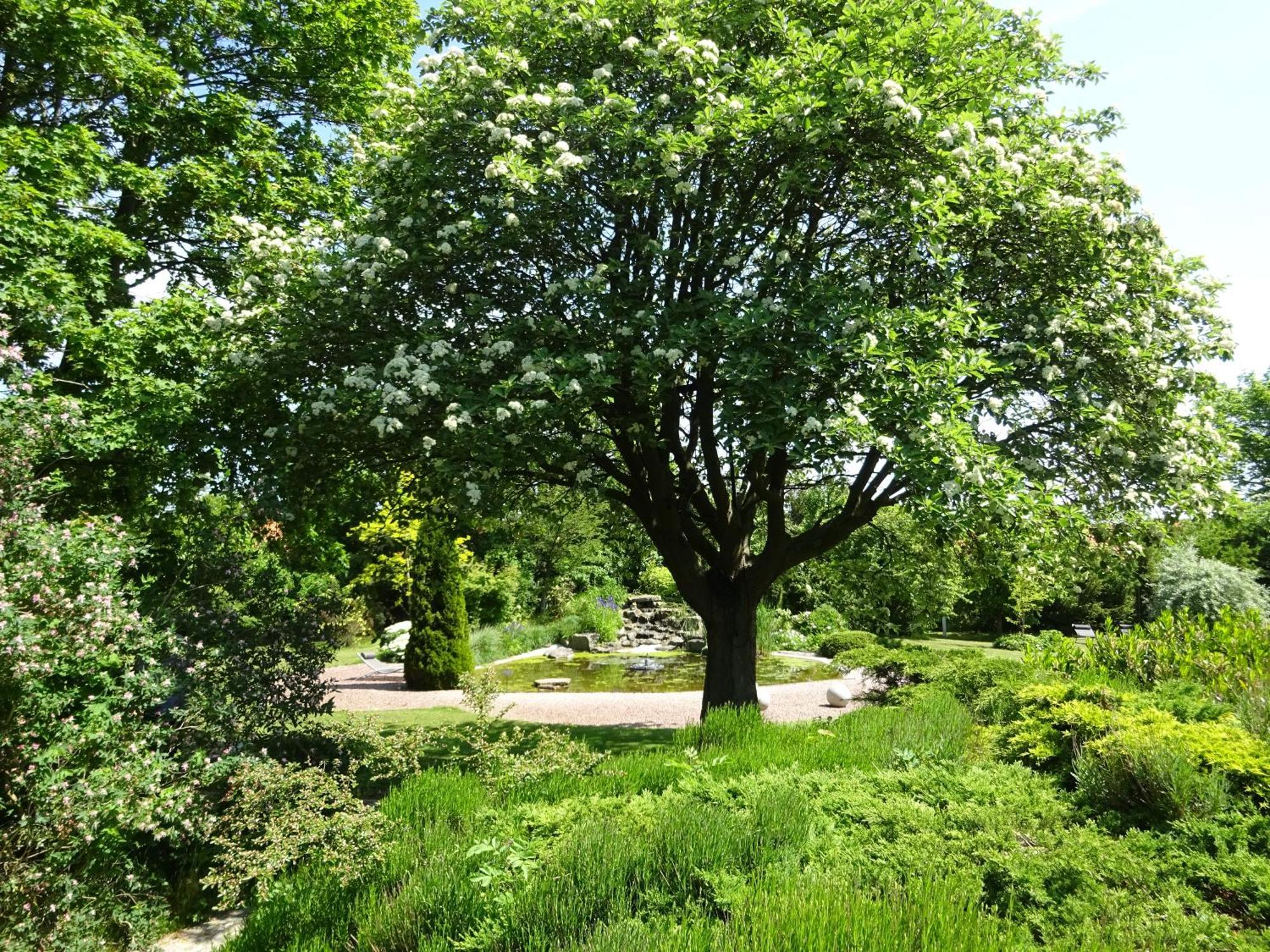 Solrosen I Simrishamn - Oesterlen Exterior foto