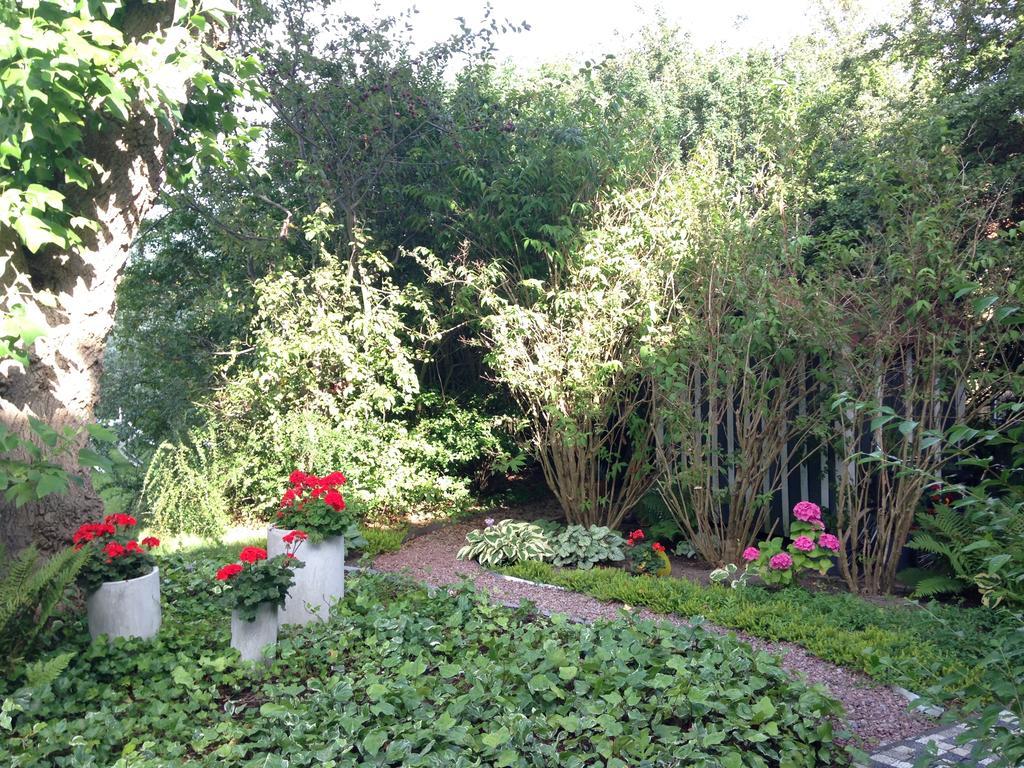 Solrosen I Simrishamn - Oesterlen Exterior foto